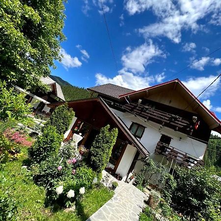 Pensiunea Bradet Brosteni Esterno foto