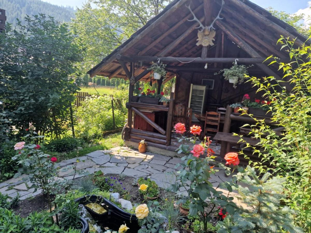 Pensiunea Bradet Brosteni Esterno foto