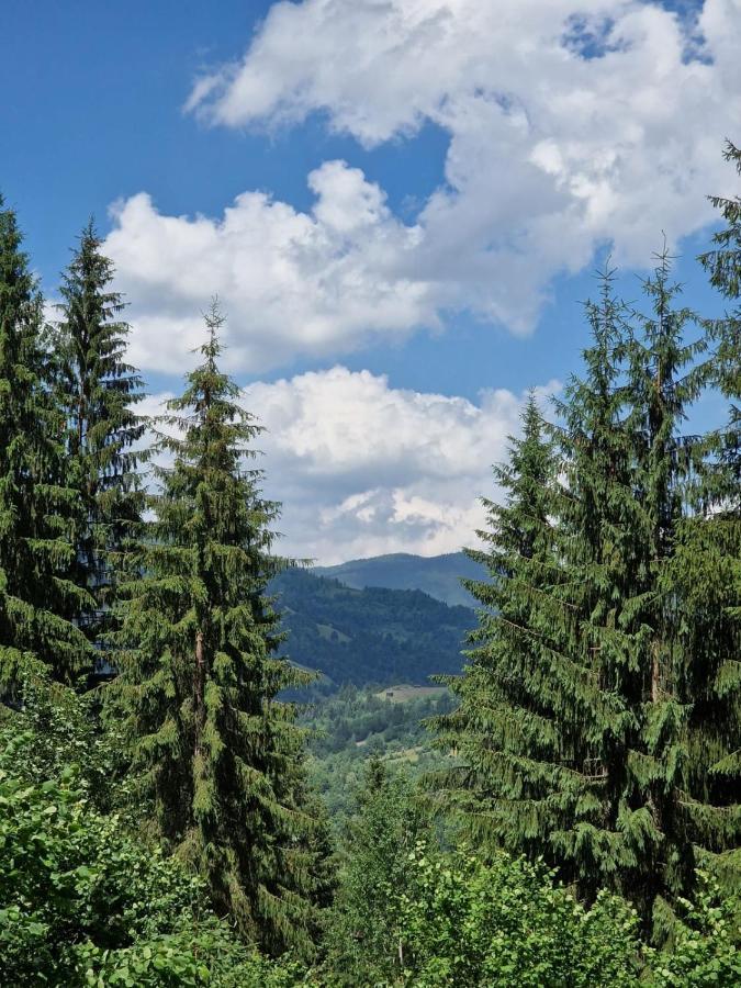Pensiunea Bradet Brosteni Esterno foto